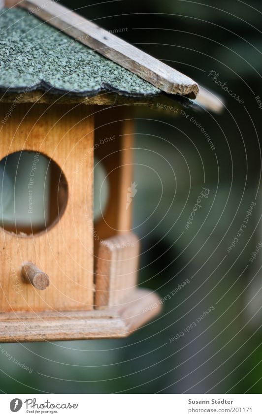 Sturmfrei klein Futterhäuschen Tierliebe Vogelkäfig Haus leer Einsamkeit Unbewohnt Dachgiebel Fenster gemütlich Gedeckte Farben mehrfarbig Menschenleer