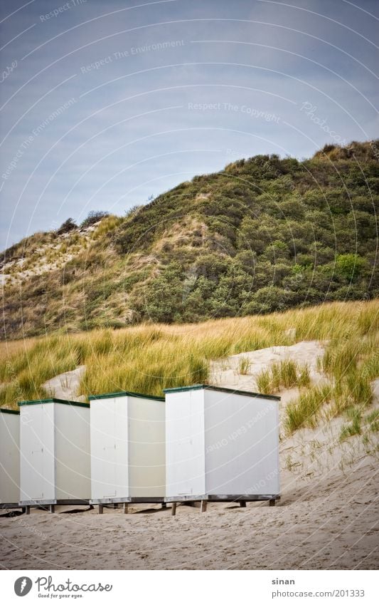 geschlossen ruhig Kur Ferien & Urlaub & Reisen Sommerurlaub Strand Natur Pflanze Sand Wasser Wolken blau grau Idylle Zeeland Niederlande Strandkorb Hügel grün
