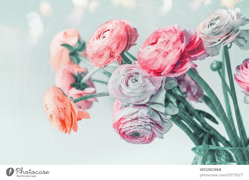Blumen auf hellblauem Hintergrund Stil Design Sommer Dekoration & Verzierung Feste & Feiern Valentinstag Muttertag Hochzeit Geburtstag Natur Pflanze Rose Liebe
