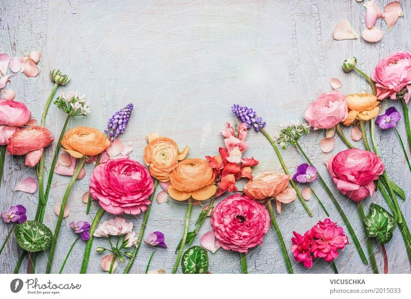 Schöne Blumen auf Shabby Chic Hintergrund Stil Design Sommer Feste & Feiern Valentinstag Muttertag Hochzeit Geburtstag Natur Pflanze Rose Blatt Blüte