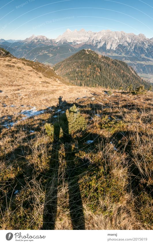 Krimi | bereits über alle Berge, nur mehr der Schatten zu sehen Natur Landschaft Herbst Schönes Wetter Wiese Alpen Berge u. Gebirge Dachstein Hochwurzen