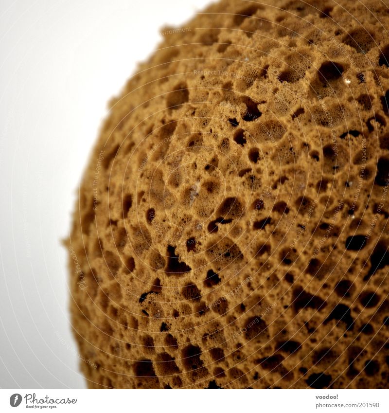 Golfball made in China Korallenriff Globus bedrohlich dunkel braun weiß Endzeitstimmung Verzweiflung Weltall Zerstörung Meteor Schwamm Asteroid Einschlag