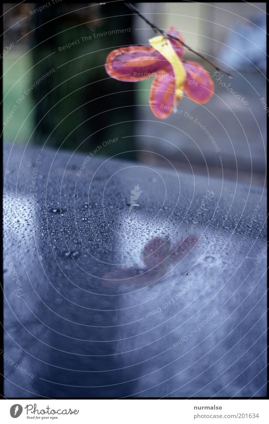 Zaubertropfen Dekoration & Verzierung Umwelt Wasser Klima Regen Menschenleer Fahrzeug Zeichen hängen außergewöhnlich nass trashig trist Kitsch Autodach