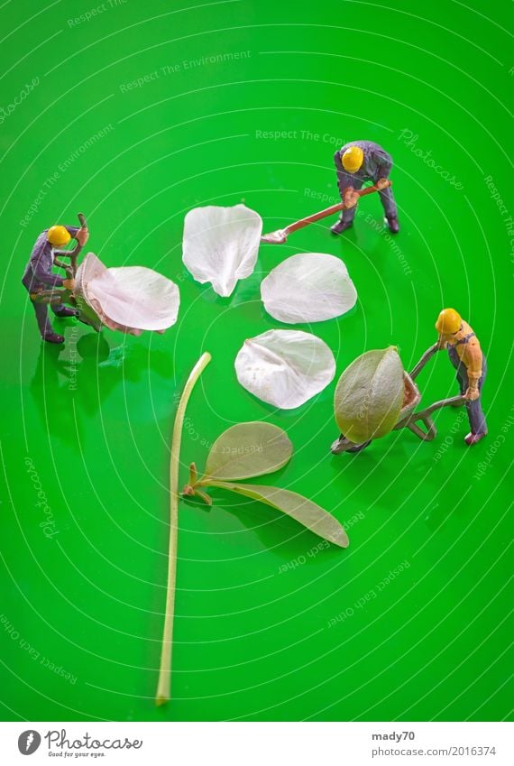 Miniaturfiguren, die arbeiten, um Frühlingskirscheblume zu schaffen Garten Arbeit & Erwerbstätigkeit Gartenarbeit Erde Blume Gras Blatt grün Land Gärtner Figur