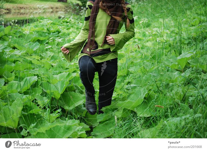 Storch im Salat feminin Arme Beine 1 Mensch Natur Pflanze Gras Blatt Hose Bewegung gehen einzigartig natürlich braun grün Leben Identität Leichtigkeit Umwelt