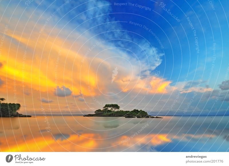 Vereinte Farben von Samana, Dominikanische Republik Umwelt Natur Landschaft Sommer Schönes Wetter Küste Strand schön Farbfoto Außenaufnahme Menschenleer