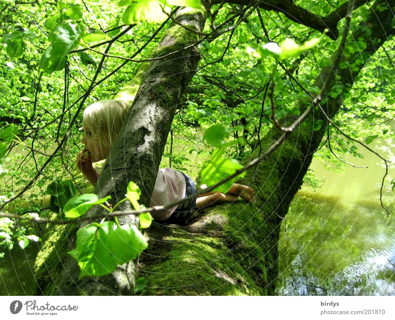 Hausbaum Spielen Abenteuer Kind Mädchen Kindheit 1 Mensch 3-8 Jahre Natur Wasser Sommer Schönes Wetter Baum Moos Wald Seeufer genießen liegen Blick blond Glück