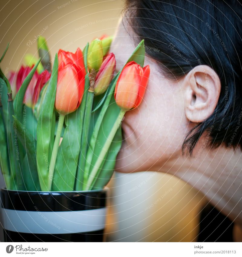 Geliebter Frühling Lifestyle Freude harmonisch Wohlgefühl Zufriedenheit Sinnesorgane Erholung Duft Frau Erwachsene Leben Kopf Gesicht 1 Mensch 30-45 Jahre Blume