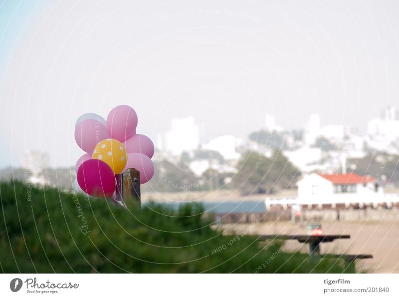 Ballons am Strand Luftballon rosa rot gelb weiß Skyline Gebäude Haus Sand Gras Grasnarbe grasbewachsene Kuppe Anlegestelle San Francisco Freude Tisch angebunden