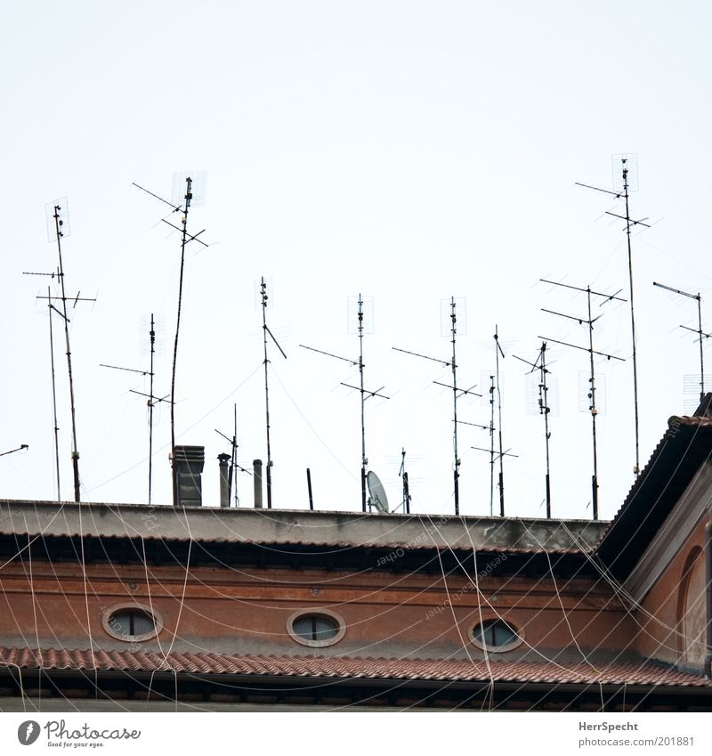 Empfangsbereit Haus Bauwerk Gebäude Fassade Fenster Dach Schornstein Antenne braun grau weiß bizarr chaotisch Kommunizieren Konkurrenz Kabel durcheinander