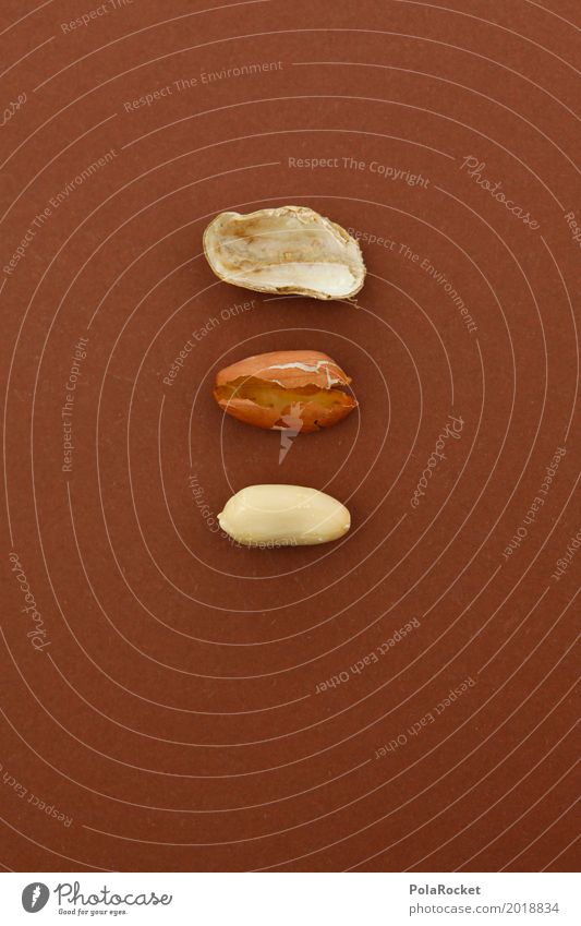 #A# Komponenten Kunst Kunstwerk ästhetisch Erdnuss Erdnussernte Nuss nußbraun Nussschale 3 Innerhalb (Position) Außenaufnahme Farbfoto Gedeckte Farben
