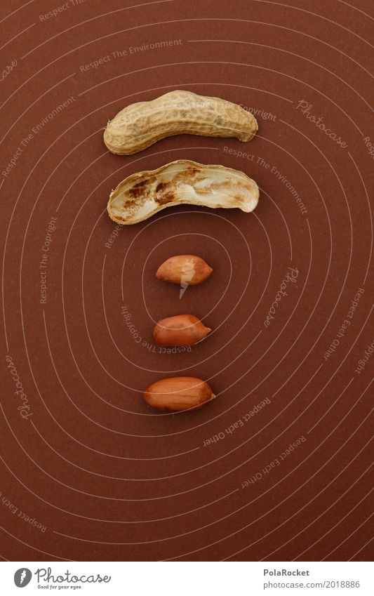 #A# 3 in 1 Kunst ästhetisch Nuss Nussschale Nussknacker nußbraun Erdnuss Erdnussernte gemischt gebastelt Komponenten Teile u. Stücke Ergebnis Farbfoto