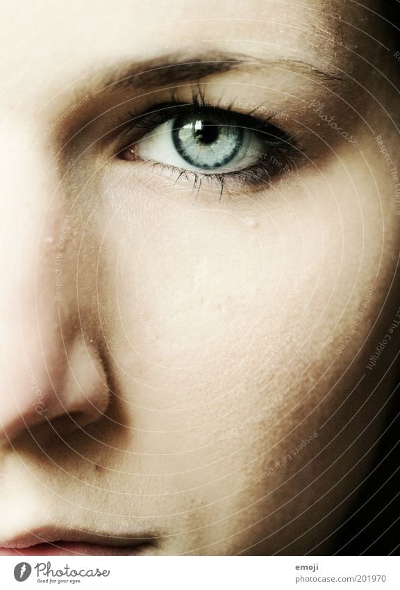 strong feminin Auge 1 Mensch 18-30 Jahre Jugendliche Erwachsene stark blau intensiv Blick Zukunft geradeaus direkt Gesicht Mut Ausdruck Gesichtsausdruck