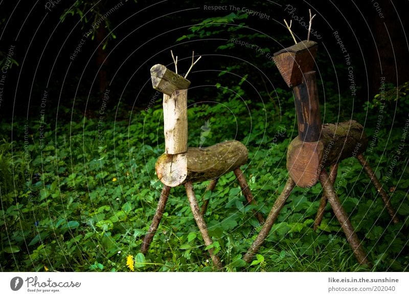 2 Hirsche stehn im Walde ganz still & stumm Jagd Skulptur Pflanze Sommer Baum Gras Sträucher Garten Park Urwald Tier Wildtier Reh beobachten braun grün
