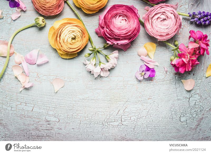 Shabby Chic Blumen Stil Design Sommer Garten Feste & Feiern Valentinstag Muttertag Geburtstag Natur Pflanze Rose Blatt Blüte Dekoration & Verzierung