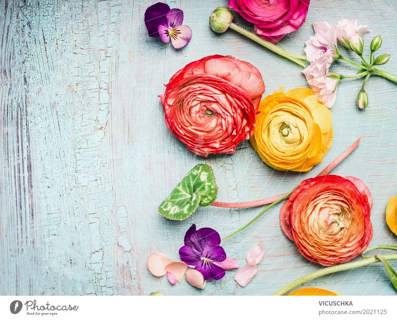 Sommer Blumen Composing Stil Design Garten Feste & Feiern Muttertag Geburtstag Natur Pflanze Rose Dekoration & Verzierung Blumenstrauß Blühend Liebe rosa