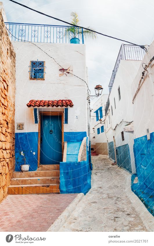 Blaues Wunder Stadt Hauptstadt Stadtzentrum Altstadt Haus Häusliches Leben Rabat blau-weiß Fassade Seitenstraße Gasse eng schmal Dachterrasse maritim Marokko