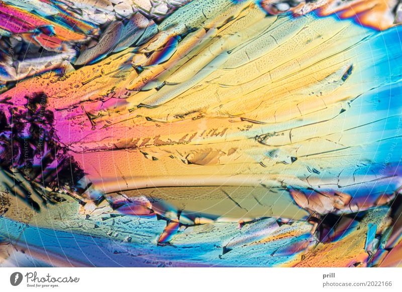 liqueur micro crystals Wissenschaften Natur Flüssigkeit gelb mikrokristall Likör polarisiertes licht mikro kristall halb durchsichtig durchlicht künstlich