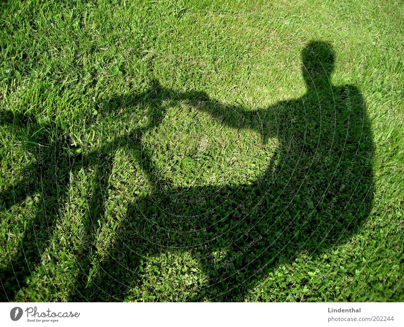 Fahrradfahren auf der Wiese Mensch maskulin Mann Erwachsene grün Pause Außenaufnahme Textfreiraum oben Tag Licht Sonnenlicht Schatten Silhouette