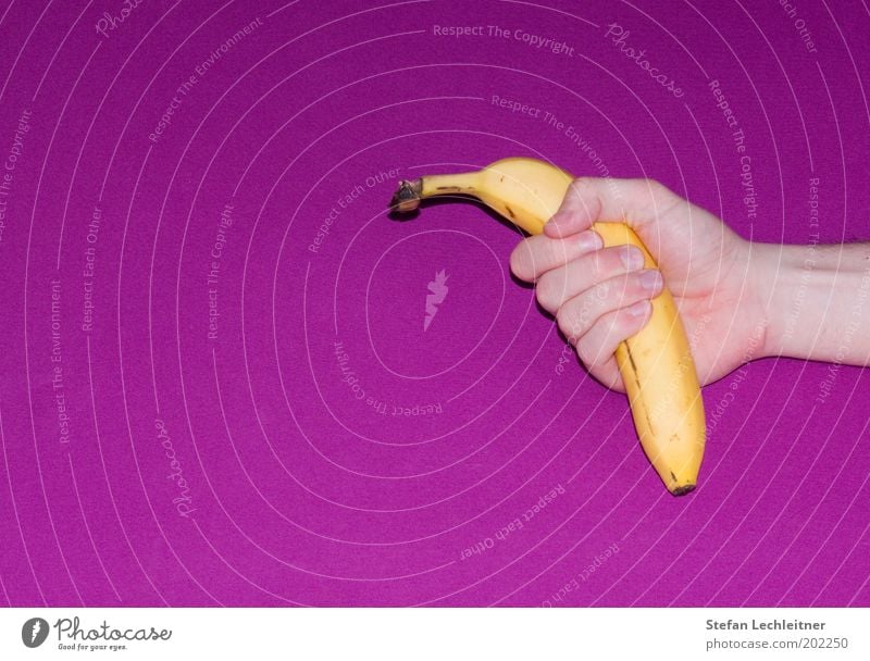Banane gefällig? Frucht Stil Design authentisch frisch gut lecker Appetit & Hunger Farbe genießen Qualität violett Faust Farbfoto Innenaufnahme