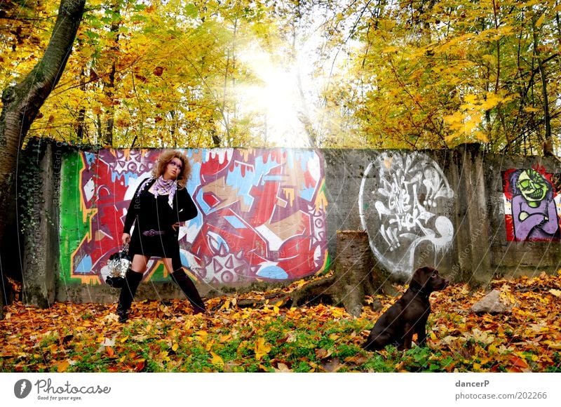 Crazy Girl goes Gassi Frau Dame Bekleidung Tasche Stiefel Hund Welpe Gassi gehen Spaziergang Wald Baum Mauer malen Malwerk Graffiti Kunst Sonne Herbst Haushund