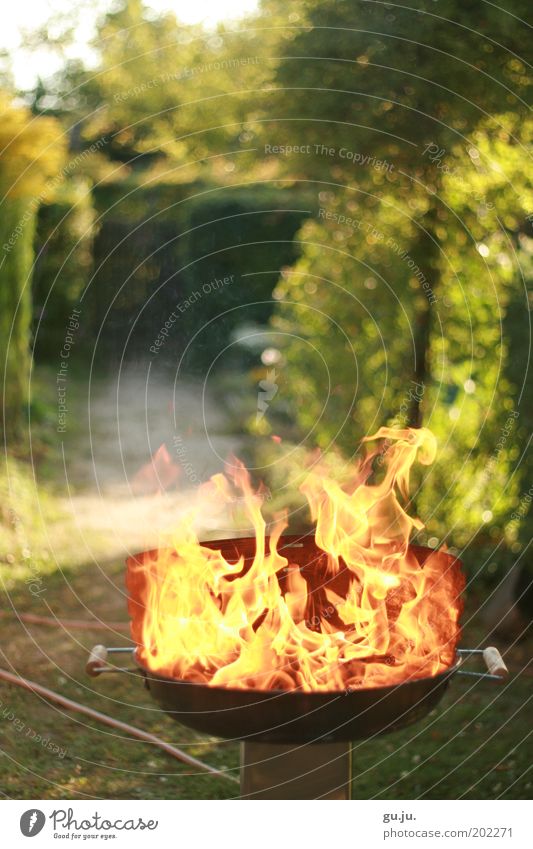DER FLAMMENDE GRILL MK IV Sommer Garten Natur Pflanze Feuer Schönes Wetter Wärme Wege & Pfade Grill Schlauch heiß hell gelb rot Flamme grün brennen Brennstoff