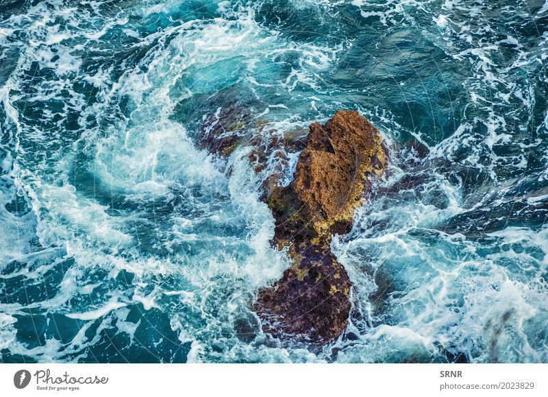 Rock in der Küste Meer Umwelt Natur Wasser Felsen maritim Schwarzes Meer Schalter Klippe steil abfallend Küstenstreifen Felsspitze ökologisch Ökosystem