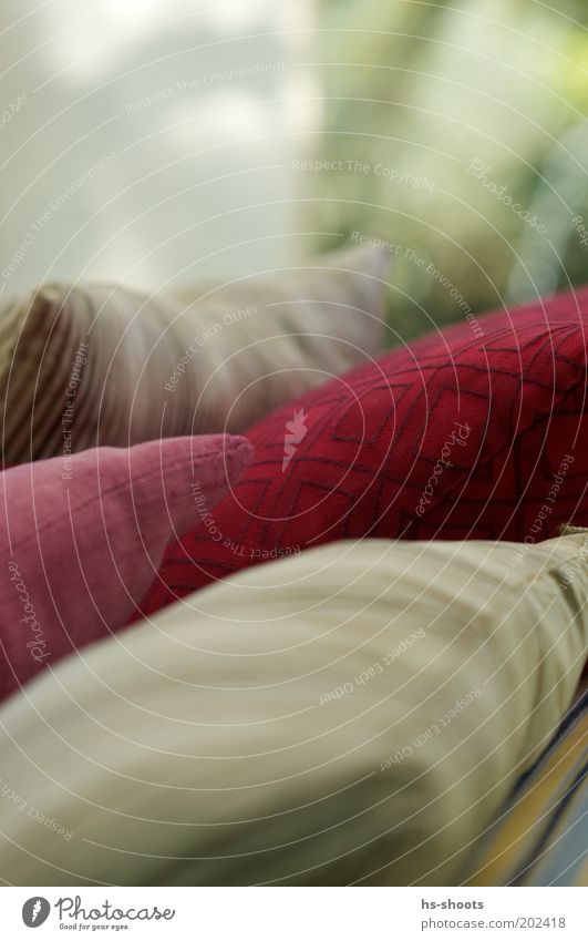 Kissen Reichtum Sofa Sessel ästhetisch mehrfarbig grau rot Häusliches Leben Farbfoto Nahaufnahme Menschenleer Textfreiraum oben Tag Unschärfe