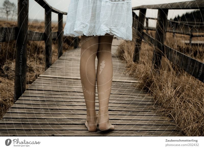 der erste Schritt ist der schwerste feminin Junge Frau Jugendliche Beine Fuß 18-30 Jahre Erwachsene Natur Moor Sumpf Kleid stehen warten authentisch kalt nah