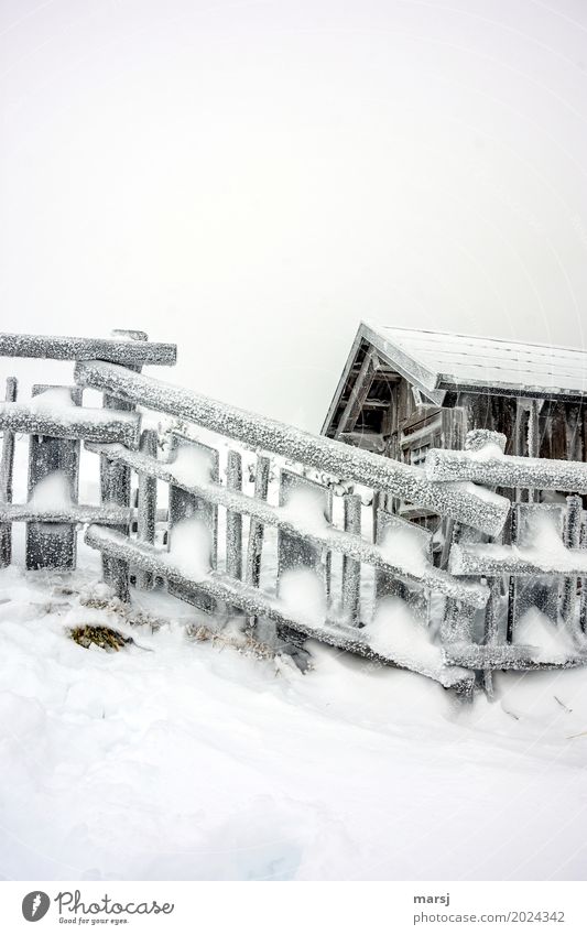 Winterzauber nach dem Sturm schlechtes Wetter Eis Frost Schnee Hütte Holzzaun kalt gefroren Zaun Gedeckte Farben Außenaufnahme Muster Menschenleer