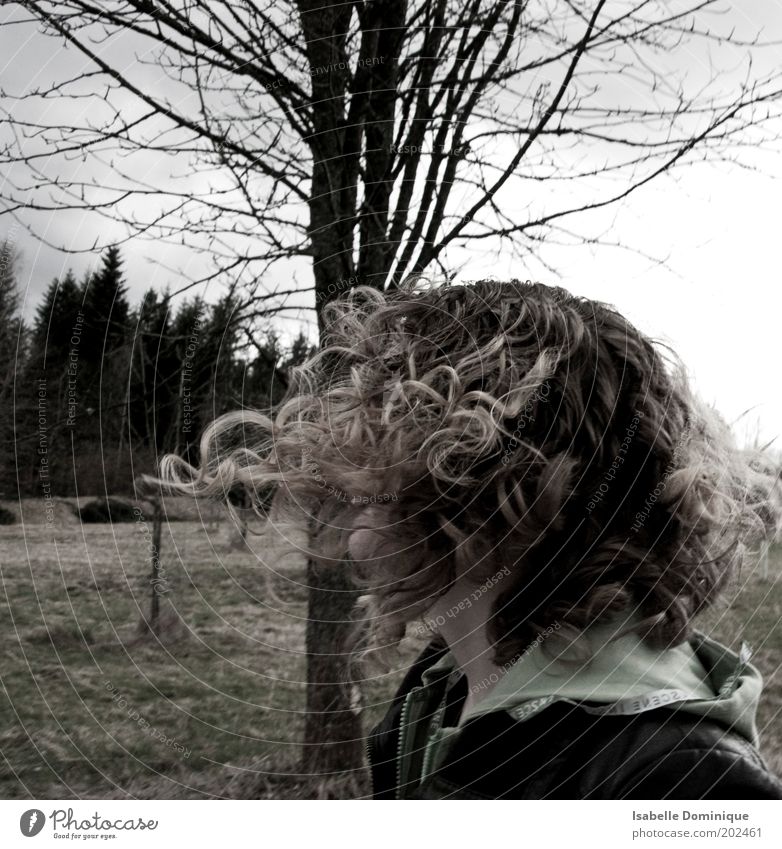 schwungvoll Ausflug Freiheit wandern Mensch feminin Junge Frau Jugendliche Kopf Haare & Frisuren 1 Natur Landschaft Baum Gras Feld brünett blond Locken Bewegung
