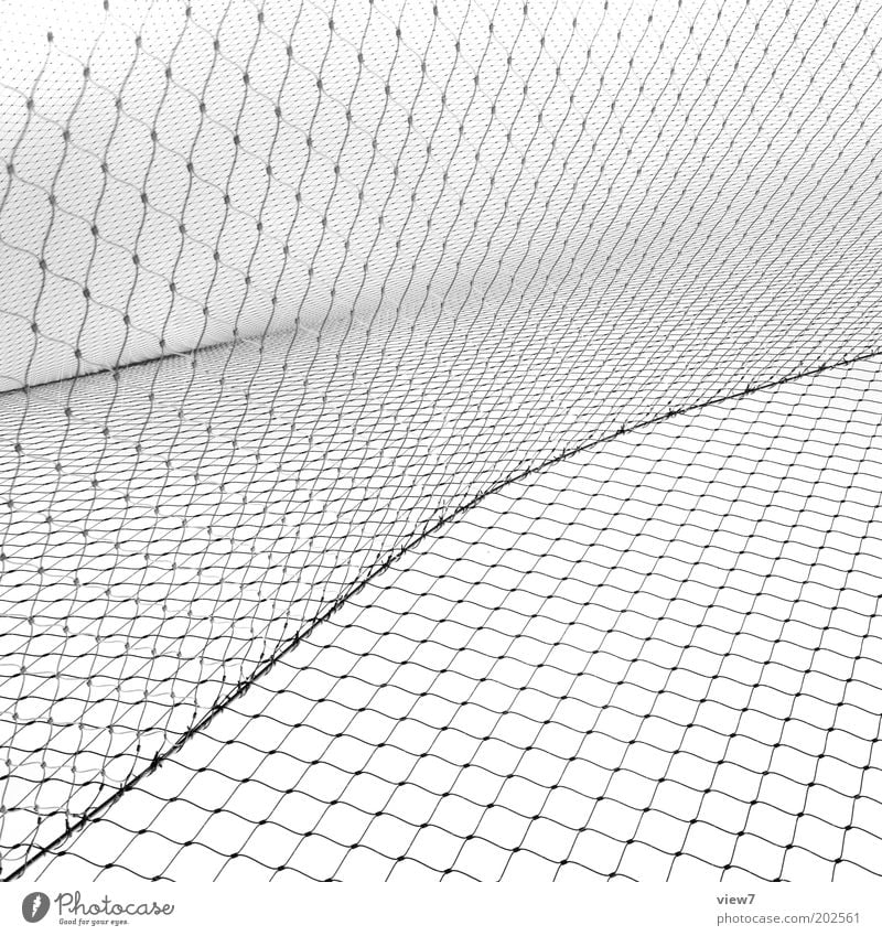 Netzwerk Metall Linie Streifen ästhetisch authentisch außergewöhnlich dünn kalt weiß Ordnung Präzision rein netzartig Schlaufe Sinuskurve Hintergrund neutral