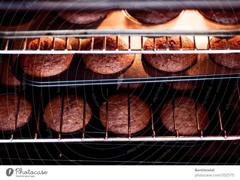 E Lebensmittel Teigwaren Backwaren Kuchen Dessert Süßwaren Schokolade Ernährung frisch heiß lecker süß braun Muffin Foodfotografie Farbfoto Innenaufnahme