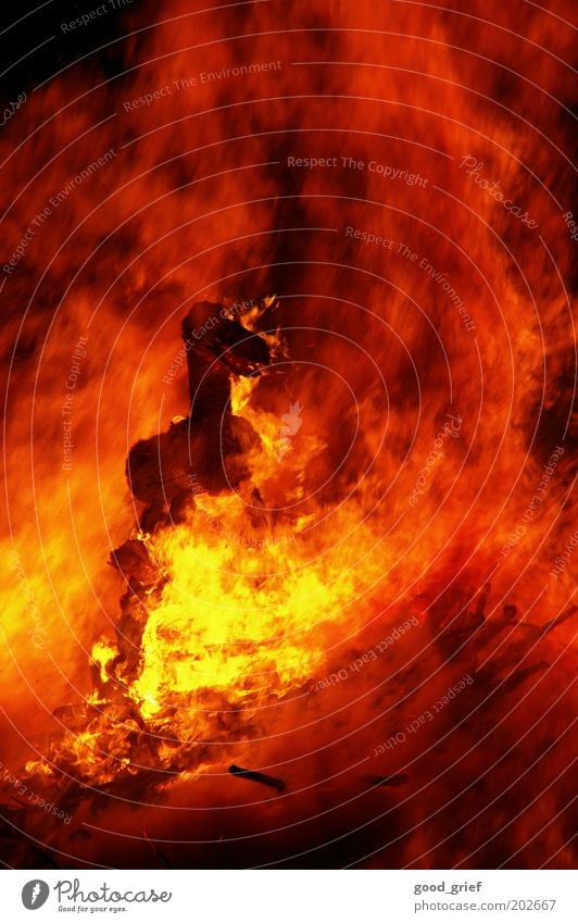 feuer frei Urelemente Feuer Tier Pferd gelb rot schwarz Gefühle Warmherzigkeit Angst Brand Hexenfeuer walpurgisnacht Tradition Mai Holz CO2-Ausstoß brennen