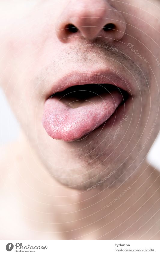 Sinn Haut Sinnesorgane Mensch Mann Erwachsene Gesicht Nase Mund Lippen 18-30 Jahre Jugendliche ästhetisch Erwartung geheimnisvoll Leben Neugier Zunge Gefühle