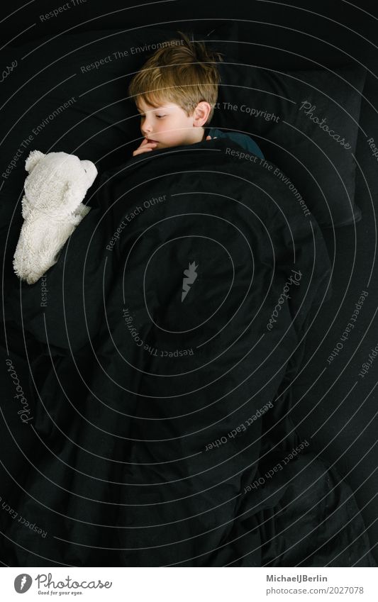 Schulkind und Eisbär Plüschtier im Bett unter schwarzer Decke Mensch maskulin Kind Junge Kindheit 1 3-8 Jahre Teddybär Stofftiere Kommunizieren schlafen weiß