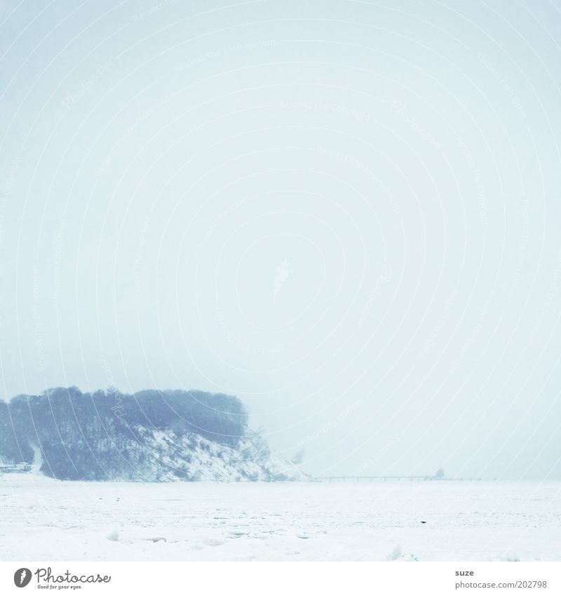 Schneeblind Umwelt Natur Landschaft Urelemente Luft Himmel Wolkenloser Himmel Horizont Winter Klima Nebel Eis Frost Küste Ostsee Meer außergewöhnlich