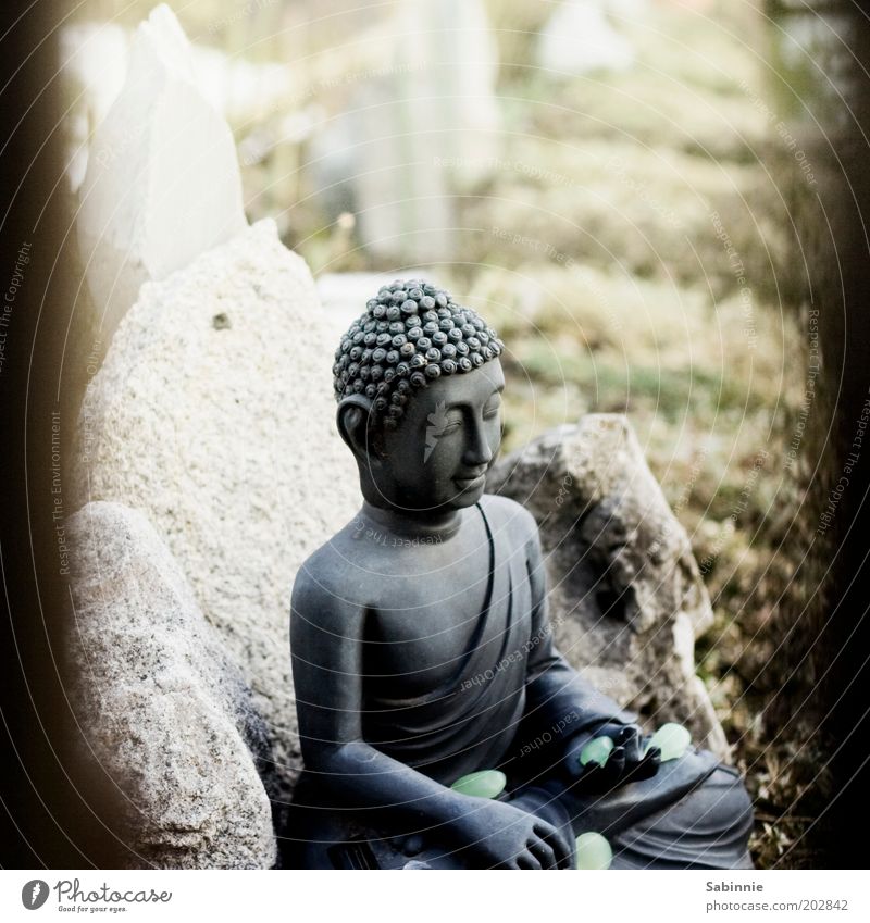 Schrebergarten-Zen Skulptur Buddha Statue Garten Stein Zeichen berühren Erholung ästhetisch elegant positiv Glück Zufriedenheit Religion & Glaube Meditation