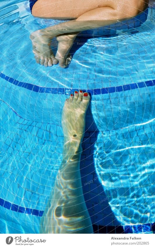 Fuß sucht Fuß zum gemeinsamen Baden Frau Erwachsene Beine 2 Mensch Schwimmen & Baden sitzen Schwimmbad Fliesen u. Kacheln blau Wasser Nagellack rot Kühlung