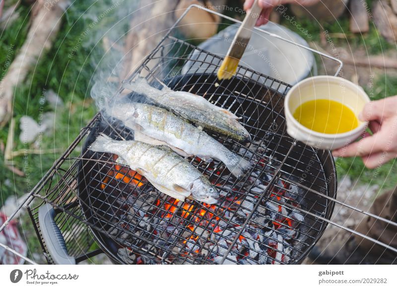 Fische grillen ist besser als Grillen fischen Lifestyle Gesundheit Freizeit & Hobby Kind Lebensfreude Holzkohle Abendessen Gartenfest Feuer Feste & Feiern