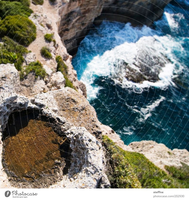 Klippenspringer Natur Landschaft Wasser Wellen Küste Bucht Mallorca hoch bedrohlich Mut Felsen Farbfoto Außenaufnahme Schwache Tiefenschärfe Vogelperspektive