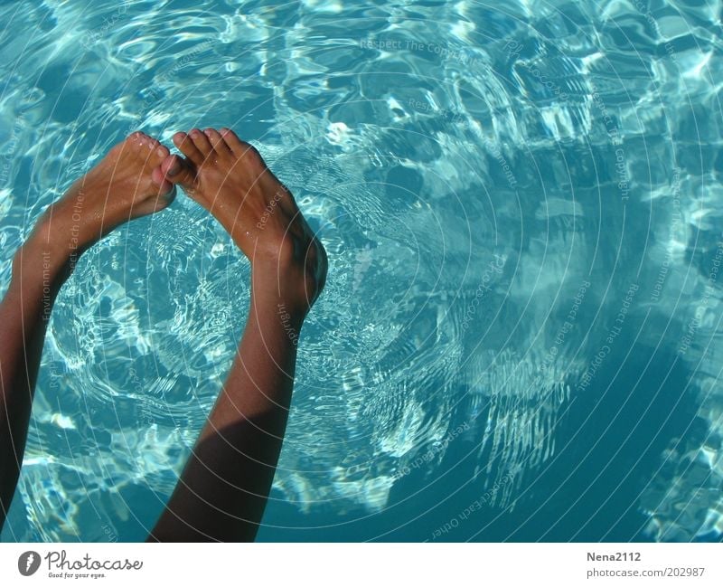 Sommer... Freude Wellness Wohlgefühl Erholung Spa Schwimmen & Baden Freizeit & Hobby Spielen Schwimmbad Haut Beine Fuß 1 Mensch Wasser heiß nass blau