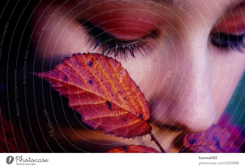 Farbklänge Junge Frau Jugendliche Gesicht Auge 1 Mensch Herbst Pflanze Blatt berühren Denken Duft träumen schön natürlich weich rot Gefühle Stimmung