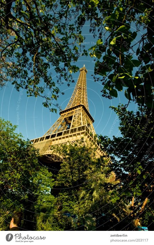 Täglich grüßt der Eiffelturm Paris Frankreich Tour d'Eiffel Wahrzeichen Konstruktion Stahlträger Stahlkonstruktion Hochbau Strebe Verstrebung Park