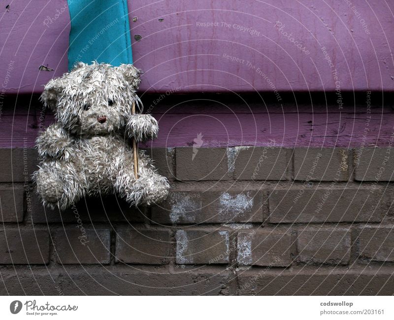 maskottchen Mauer Wand Spielzeug Teddybär Stofftiere Fahne dreckig trist Gelassenheit standhaft Traurigkeit Trauer Enttäuschung Einsamkeit Erschöpfung Backstein