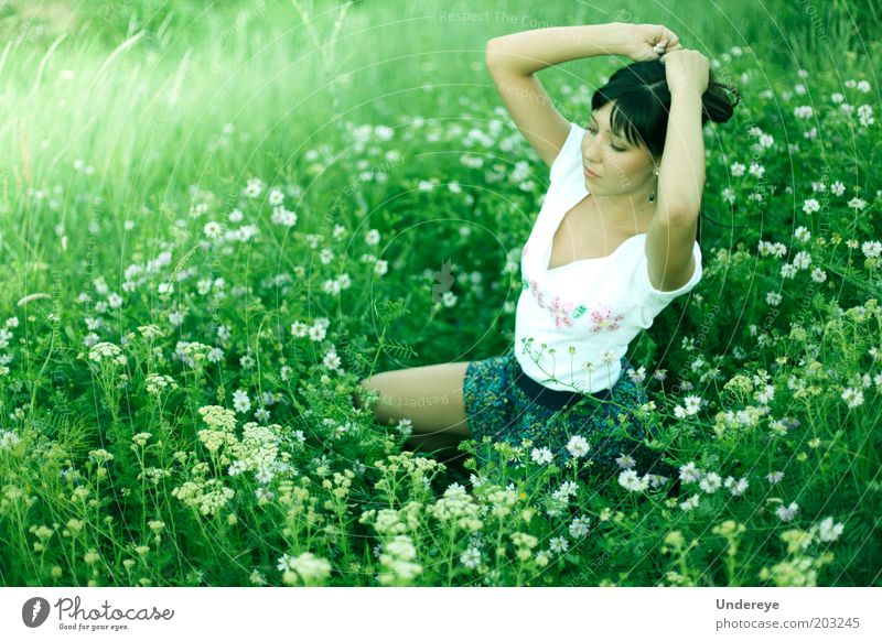 Sommer Mensch Junge Frau Jugendliche 1 18-30 Jahre Erwachsene Erotik Feld Blume grün Behaarung Farbfoto Außenaufnahme Tag