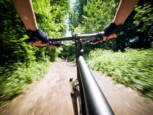 Nur Geniesser fahren Fahrrad Freizeit & Hobby Sport Fahrradfahren Mensch 1 Natur Wald Wege & Pfade Geschwindigkeit Mountainbike Freestyle Farbfoto Außenaufnahme