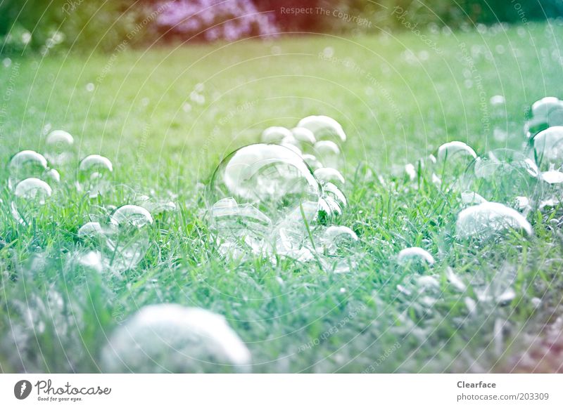 Seifenblasen auf dem Rasen ästhetisch glänzend mehrfarbig grün Inspiration Kindheitserinnerung zerbrechlich Vergänglichkeit zartes Grün Garten Farbfoto