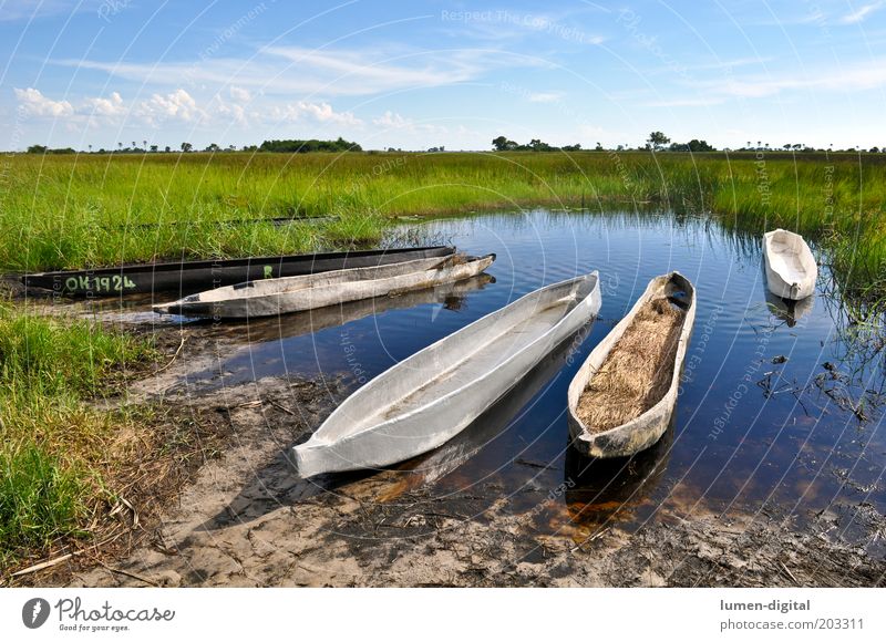 Stille Ferne Schönes Wetter Flussufer Romantik Fernweh exotisch Freiheit Afrika Namibia Okavango Wasserfahrzeug Mokoro Botswana Farbfoto Außenaufnahme Delta