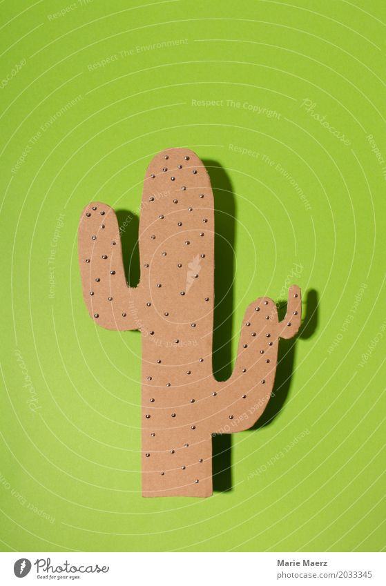 Kaktus Design exotisch Blick stehen Häusliches Leben einzigartig stachelig grün Schmerz Respekt Einsamkeit Kitsch Kunst Kaktee Stachel pieksen Spitze